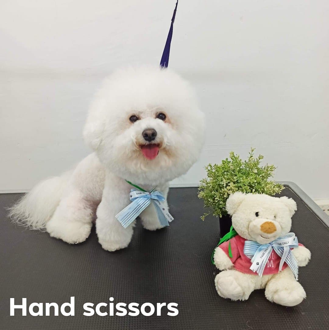 Full Hand Scissoring Style
