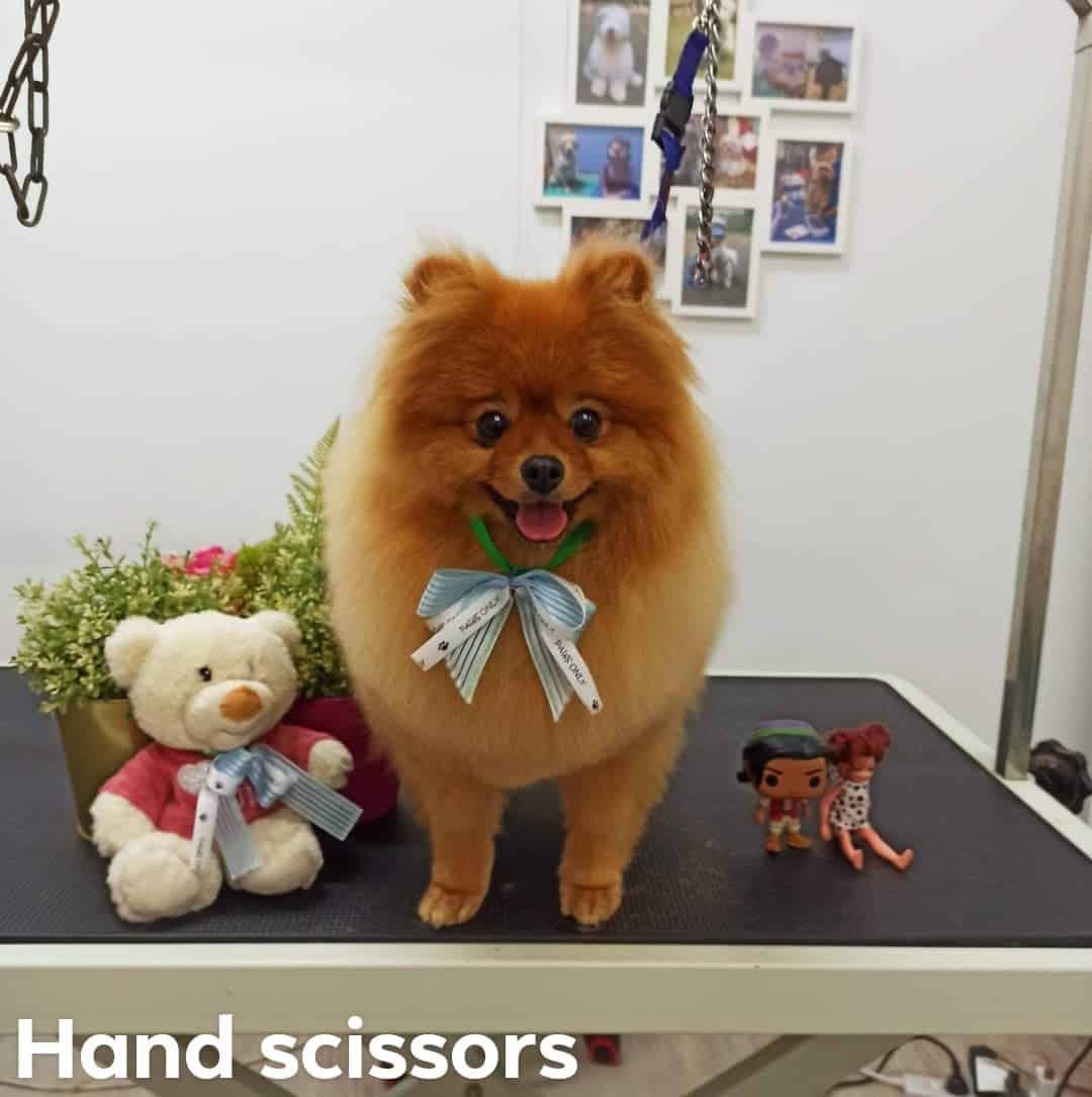 Full Hand Scissoring Style