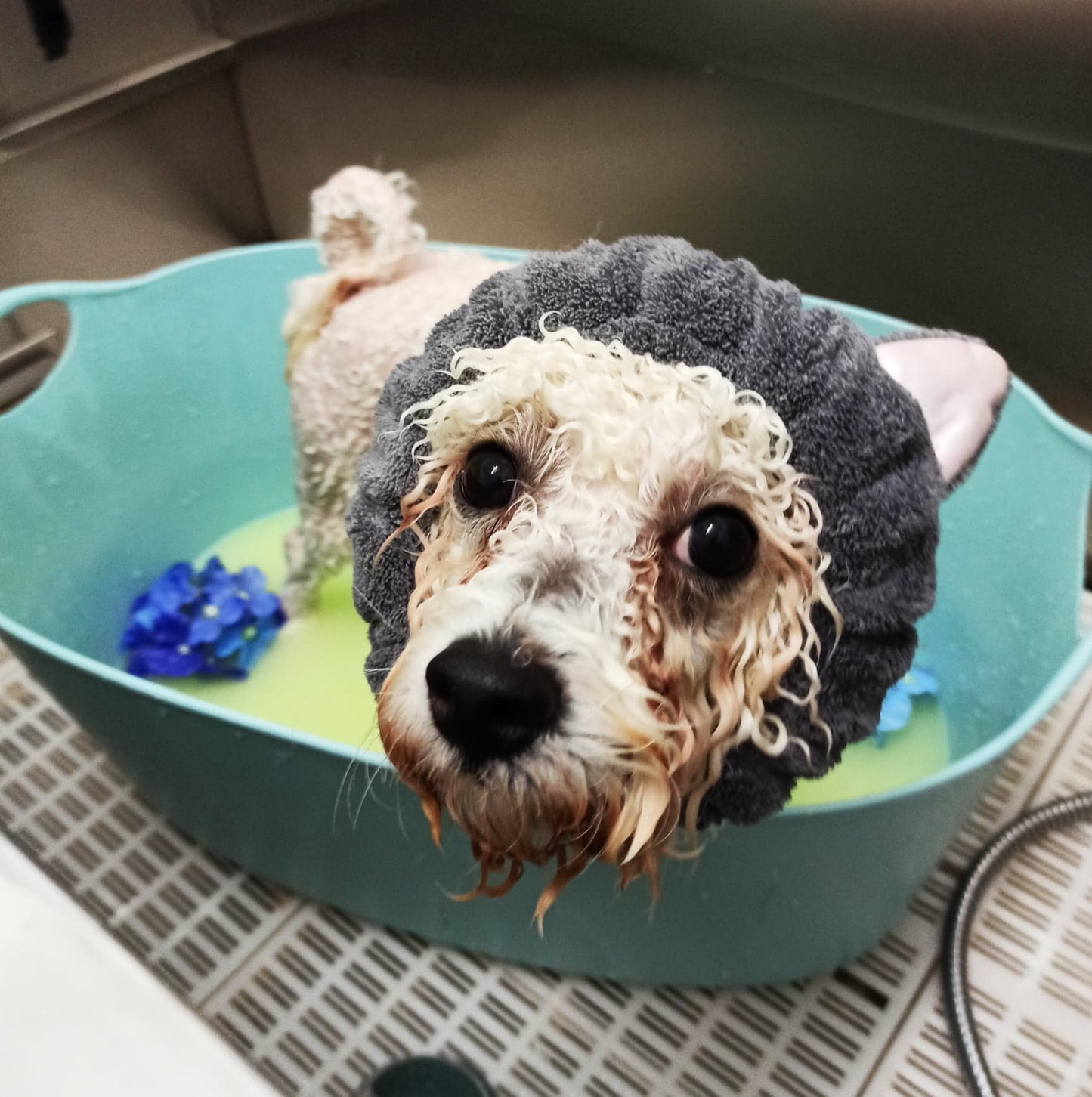 Deluxe Spa Bath with Massage Treatment