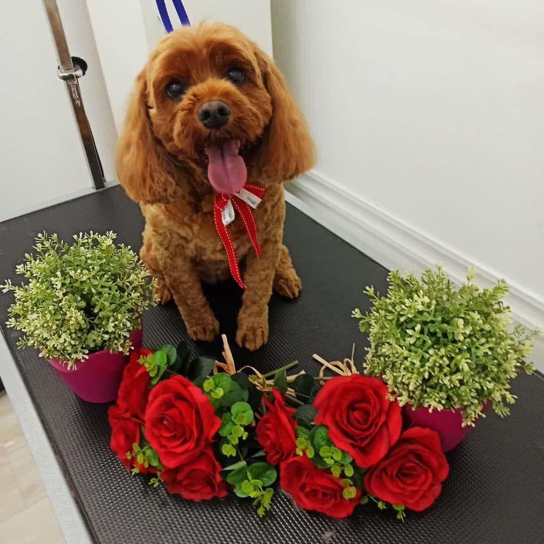 Full Clip / Summer Clip