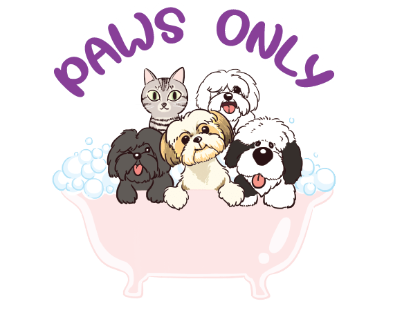 Paws Only BNE